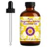 dve herbes Sugandha Kokila Essential Oil (Cinnamomum glaucescens) with Glass Dropper | Pure | Non-Sticky | Non-Greasy | Lightweight | Men & Women | All Skin Types | Steam Distilled 120ml (4 oz) view 1
