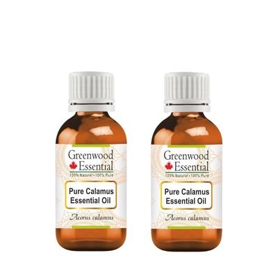 Greenwood Essential Pure Calamus Essential Oil (Acorus Calamus) Steam Distilled (Pack of Two) 15ml X 2 (1 oz)