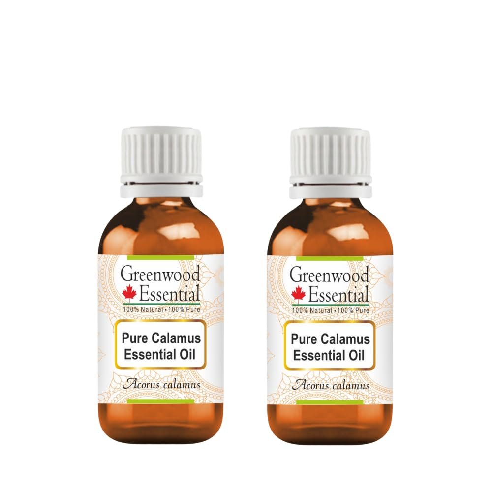 Greenwood Essential Pure Calamus Essential Oil (Acorus Calamus) Steam Distilled (Pack of Two) 15ml X 2 (1 oz)