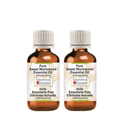 Greenwood Essential Pure Sweet Wormwood Essential Oil (Artemisia annua) Steam Distilled (Pack of Two) 50ml X 2 (3.38 oz)