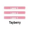 Lip Ink 100% Smearproof Trial Lip Kits, Tayberry view 2