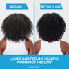 CeraVe 2 In 1 Hydrating Anti Dandruff Shampoo And Conditioner Twin Pack, 1% Pyrithione Zinc Dandruff Treatment Helps Eliminate Dandruff, Color Safe & Sulfate Free, 12 Fl Oz Each (Set of 2) view 4