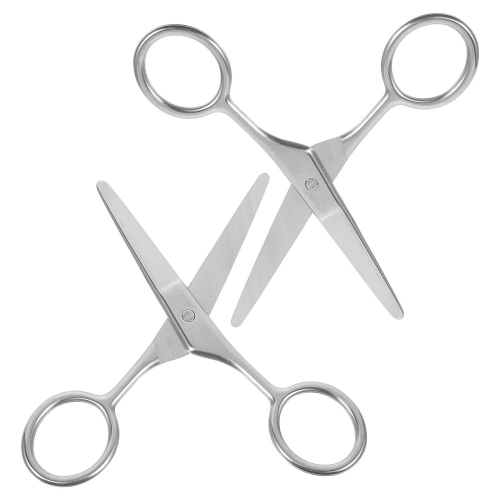 Didiseaon Precision Round Head Nose Hair Scissors Eyebrow Trimmer Small Beauty Scissors Stainless Steel for Women
