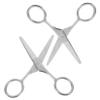 Didiseaon Precision Round Head Nose Hair Scissors Eyebrow Trimmer Small Beauty Scissors Stainless Steel for Women view 1