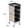Salon Trolley Rolling Cart with 4 Drawers Hair Dryer Service Tray Tool Storage Cart for Salon SPA Beauty Hairdressing view 2