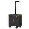 LSSOAZZVVN Two-Layer Rolling Makeup with Mute Caster Professional Large Capacity Nail Beauty Trolley Cosmetic Case, (Black) view 4