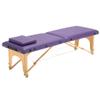 2-Section Massage Table with Headrest, Foldable Portable Spa Beauty Bed for Acupuncture, Tattoo & Home Use, Purple view 1