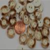 24 Cream with Light Brown Marblized Lip Plastic Buttons 5/8" 15MM # 6206 view 1
