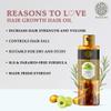 Buddha Natural Oil (150 ml) + Neem Kacchi Comb view 4
