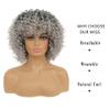 ORAVISTA Afro Wine Red Curly Synthetic Wigs with Bangs 70s Rocker Kinky Fluffy for Black Women Halloween Cosplay Costume (Grey,16") view 2