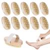 10 Pcs Dry Brushes for Body Dry Brushing Body Brush Exfoliating Brush with Massage Nodule Scrubber for Shower Bath Back Circulation Improvement Dead Skin Remove Beauty Exfoliator view 1