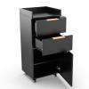 OmySalon Salon Trolley with Wheels, 2 Drawers & 1 Storage Cabinet, Salon Cart for Hair Stylist, Portable Styling Station for Barbershop Beauty Spa, Black view 1