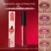 HMDABD Lip Gloss Tinted Long Lasting LiquidLipstick Velvet Lip Makeup Lip Color (01, One Size) view 3