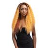Janet Collection Human Hair Blend HD Lace Front Wig 360 Glueless Melt Hand-Tied 13X6 Frontal Part Miri (1B) view 2