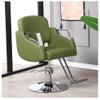 Barber Stylist, Styling Heavy Duty Hydraulic Pump, 360 Swivel Hair Salon Chair with Footrest for Beauty Spa Shampoo, Max Load Weight 330 Lbs,B view 1