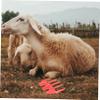 Alasum 4pcs Scissor Accessories Professional Shaver Guide for Sheep Goat Poodle Clipper Guide Injury Design for Efficient Work view 4