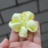 10Pcs 7cm Fashion Elegant Organza Flower For Hair Accessories Artifical Flower (10Pcs White) view 3