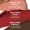 ITY Velvet Matte Finish Lip Stain-Mousse Textured Lip Clay, Red Shade, Conceals Lip Lines, Rich Pigment Lip Tint Lipsticks,0.14 oz (4g) in Berrylicious, Ginger. view 2