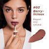 ITY Velvet Matte Finish Lip Stain-Mousse Textured Lip Clay, Red Shade, Conceals Lip Lines, Rich Pigment Lip Tint Lipsticks,0.14 oz (4g) in Berrylicious, Ginger. view 3
