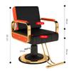 Barber Chair Hair Salon Chair with Heavy Duty Hydraulic Pump,Stainless Steel Footrest,Styling Chair for Beauty Spa Hairdressing Braiding,Black b,C view 2