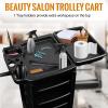 Beauty Salon Trolley, Salon Plastic Rolling Cart for Stylist with 5 Removable Drawers and Dryer Holder, Rolling Hairdressing Cart with 4 Wheels for Beauty SPA Barbershop Hairdresser view 3