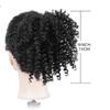 Bun, 4 - Inch Short Synthetic Afro Kinky Curly Hair Bun Extension for Women for Women(Gray) view 3