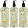 A LA MAISON White Ginger Natural Hand Wash Made with Essential Oils - Biodegradable, Plant-Based, Vegan, Cruelty-Free 16.9 Fl Oz, 3 Pack view 1