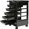 6 Tier Professional Salon Trolley Cart with Wheels & Drawers - Hair Dryer Holder Stylish Salon Station for Multipurpose Hair Tool Organizer view 1