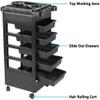 6 Tier Professional Salon Trolley Cart with Wheels & Drawers - Hair Dryer Holder Stylish Salon Station for Multipurpose Hair Tool Organizer view 3