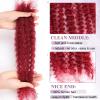 ADIASAI Burgundy Afro Kinkys Bulk Human Hair 16 Inch 50g for Permanent Micro Locs Mini Kinky Twist Braids Loc Extensions Dreadlock Extensions Repair Locs Can Be Bleached Dyed (BUG) view 2