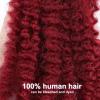 ADIASAI Burgundy Afro Kinkys Bulk Human Hair 16 Inch 50g for Permanent Micro Locs Mini Kinky Twist Braids Loc Extensions Dreadlock Extensions Repair Locs Can Be Bleached Dyed (BUG) view 3