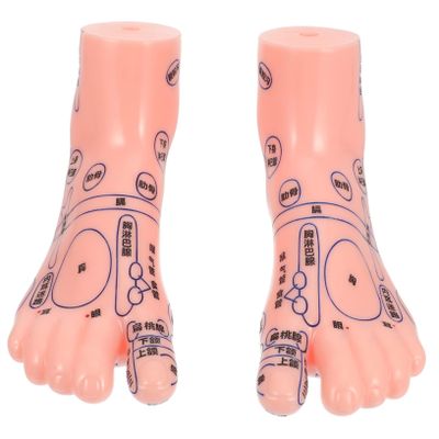 Beaupretty 1pair Foot Massage Acupoint Model for Teaching and Display Foot Bath Model Realistic Reflection Areas for Learning Acupressure Techniques