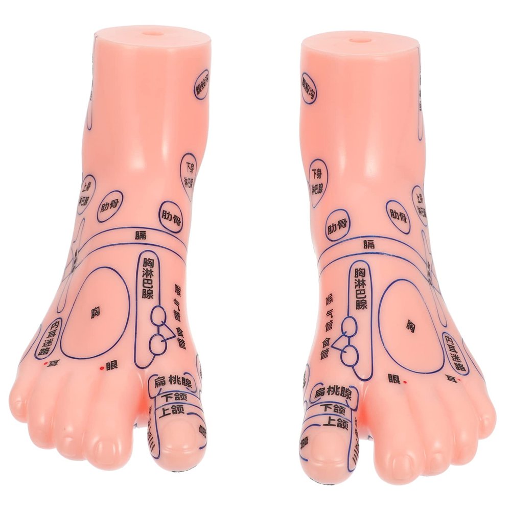 Beaupretty 1pair Foot Massage Acupoint Model for Teaching and Display Foot Bath Model Realistic Reflection Areas for Learning Acupressure Techniques