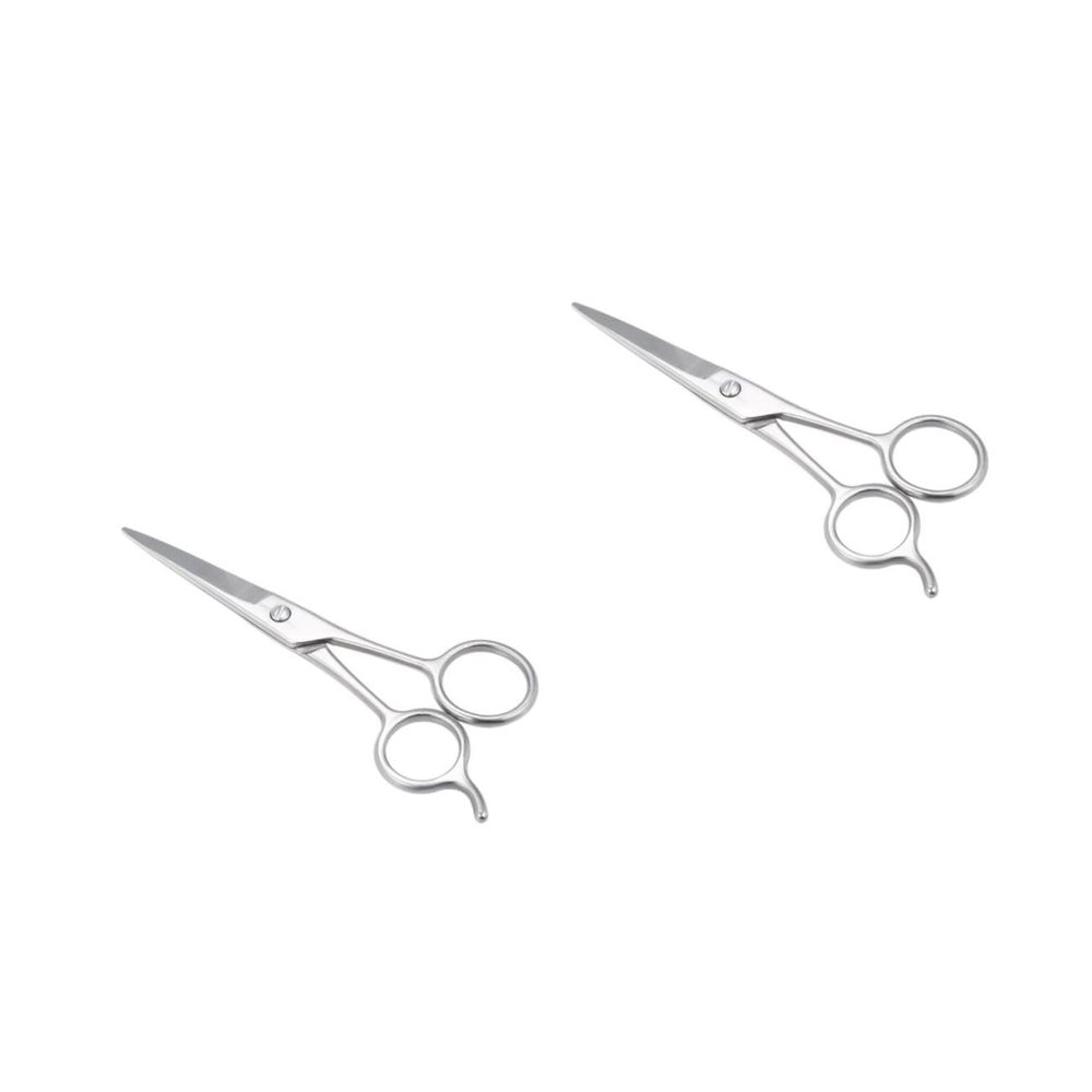 Healvian 2pcs Stainless Steel Beard Scissors Eyebrow Trimmers Grooming Tool for Daily Beard Care Hairdressing Accessory Silver for Personal Use