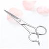 Healvian 2pcs Stainless Steel Beard Scissors Eyebrow Trimmers Grooming Tool for Daily Beard Care Hairdressing Accessory Silver for Personal Use view 4