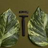Biodegradable Wheatstraw Unisex Eco Friendly Razors view 3