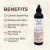 BELLA LIZ Body Wash  8oz Hydrating Cleanser for Sensitive & Dry Skin, Nourishing Shower Gel with Soothing Formula for Soft, Smooth Skin Care (Bella Love) view 3