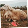 BESPORTBLE Lamb Shaver Guide Grooming Clipper Guide Multi-Functional Trimmer Cost- for Goat Easy to Disassemble view 3