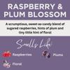 Black Canyon Raspberry & Plum Blossom Scented Body Lotion with Lanolin and Jojoba Oil, 12 Oz view 2