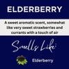 Black Canyon Elderberry Scented Body Lotion with Lanolin and Jojoba Oil, 12 Oz (2 Pack) view 2