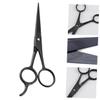 LIFKOME Hairdressing Scissors Straight Cut Scissors Hair Styling Tools Hair Salon Cutter for Barber view 1