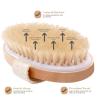 1pcs Exfoliating Wooden Body Massage Shower Brush Natural Bristle Bath Brush Soft Woman Man Care Wet Dry Body Brush view 3