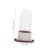 AUTSUPPL Makeup Brush Cleaner Box Portable Makeup Tool Lightweight Cleaning Storage for Travel Decorative Functional Brush Holder Effortless view 2