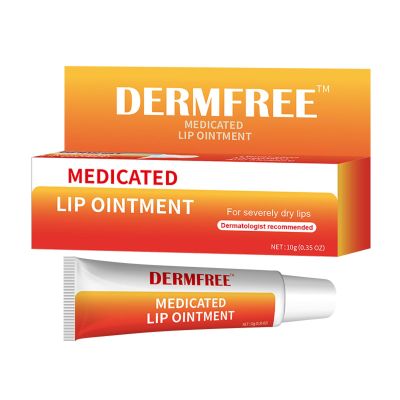Dermfree Medicated Lip Ointment, 0.35 oz, Helps Provide Relief of Symptoms of Cold Sores and Dry Lips, Pain Relief from Lip Sores & Blisters, Healing Lip Balm Ointment, 1 Pack