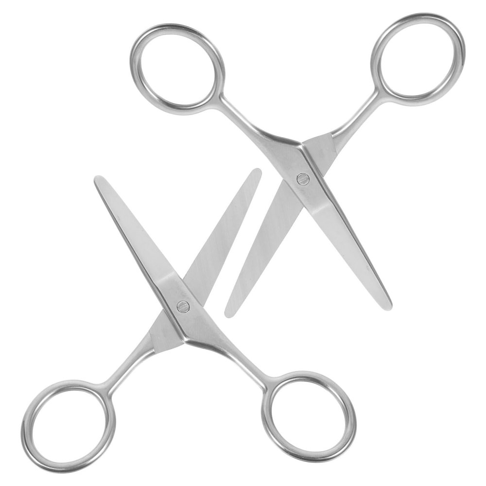 DEARMAMY Stainless Steel Eyebrow Scissors 2 Pack Precision Trimmer for Women Nose Hair Beard Safe for All Grooming Needs