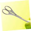 Didiseaon 1pc Safety Stainless Steel Small Pointy Round Eyebrow Scissors for Nose Hair Trimming view 2