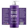 Natural Riches Radiant Silver Shine Purple Shampoo and Conditioner Set for Gray Hair - Paraben-Free and Color Safe  With Silk Proteins, Tones Dull Hair, Softens & Adds Shine - 16 fl oz view 2
