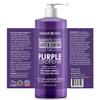 Natural Riches Radiant Silver Shine Purple Shampoo and Conditioner Set for Gray Hair - Paraben-Free and Color Safe  With Silk Proteins, Tones Dull Hair, Softens & Adds Shine - 16 fl oz view 3