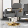 Barber Chair, Styling Chair for Hair Stylist, Hydraulic Barber Chair Height Adjustable, 360 Swivel, Beauty Salon Spa Equipment, Multi-Function Salon Chair Equipmen,Grey,B view 1