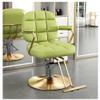Barber Chair Salon Chair for Hair Stylist with Hydraulic Pump Adjustable Height 360 Degrees Swivel Hair Chair Spa Beauty Equipment,Green,B view 1